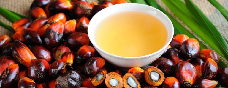 ASROC : La filÃ¨re OlÃ©agineux au beau fixe.
