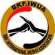 Arts Martiaux : L'association BKF Wushu honorée par l'Institut Conficius de Yaoundé.